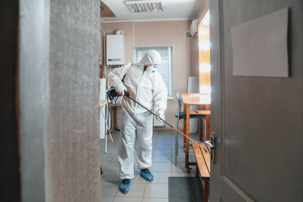 Best Mold Documentation for Insurance Claims  in Murfreesboro, TN