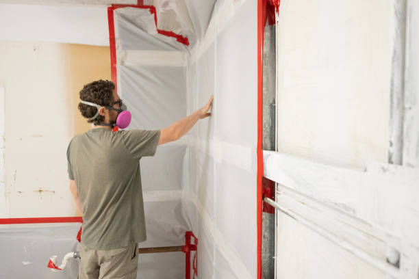 Mold Removal for HVAC Installations in Murfreesboro, TN