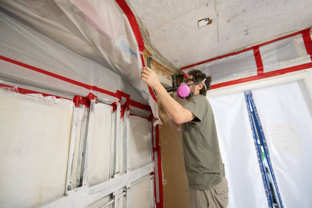 Best Commercial Mold Inspection  in Murfreesboro, TN